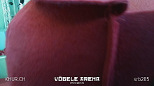 16.06.2018 15:51